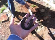 El objeto metálico encontrado era una herradura